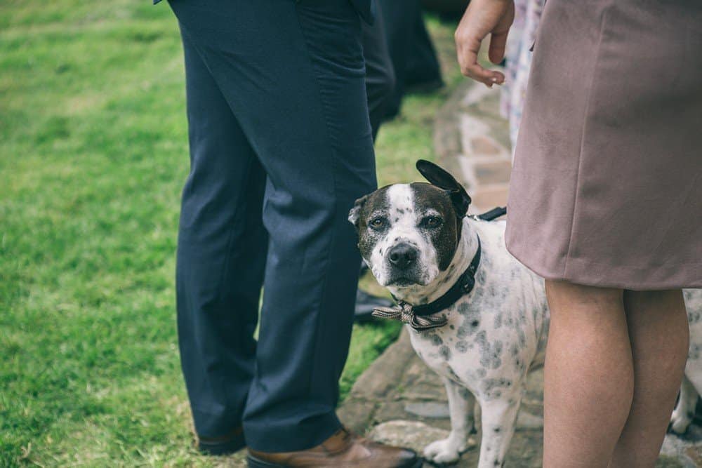 Cheshire Farm wedding Frodsham