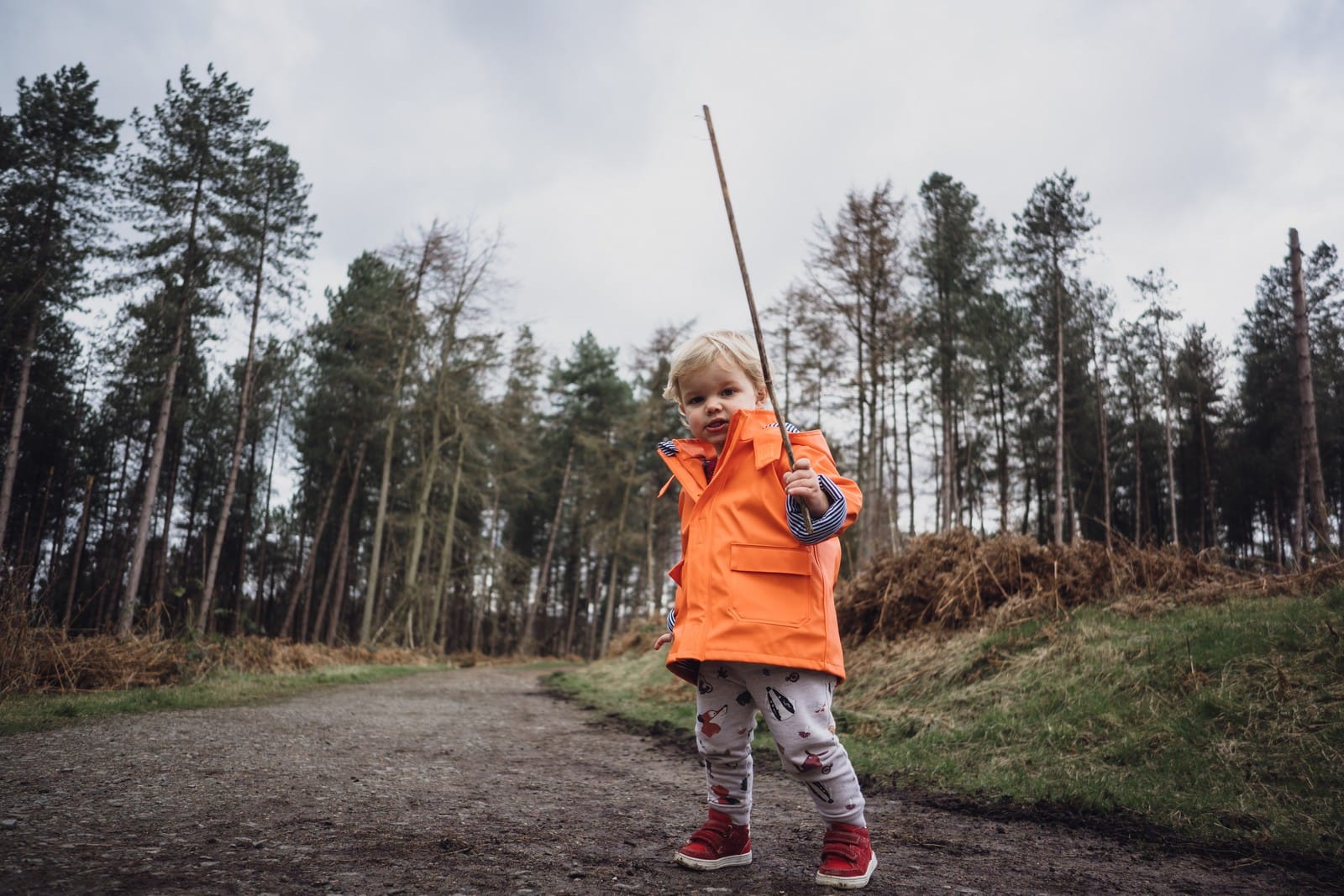 cheshire photographer delamere mini shoot