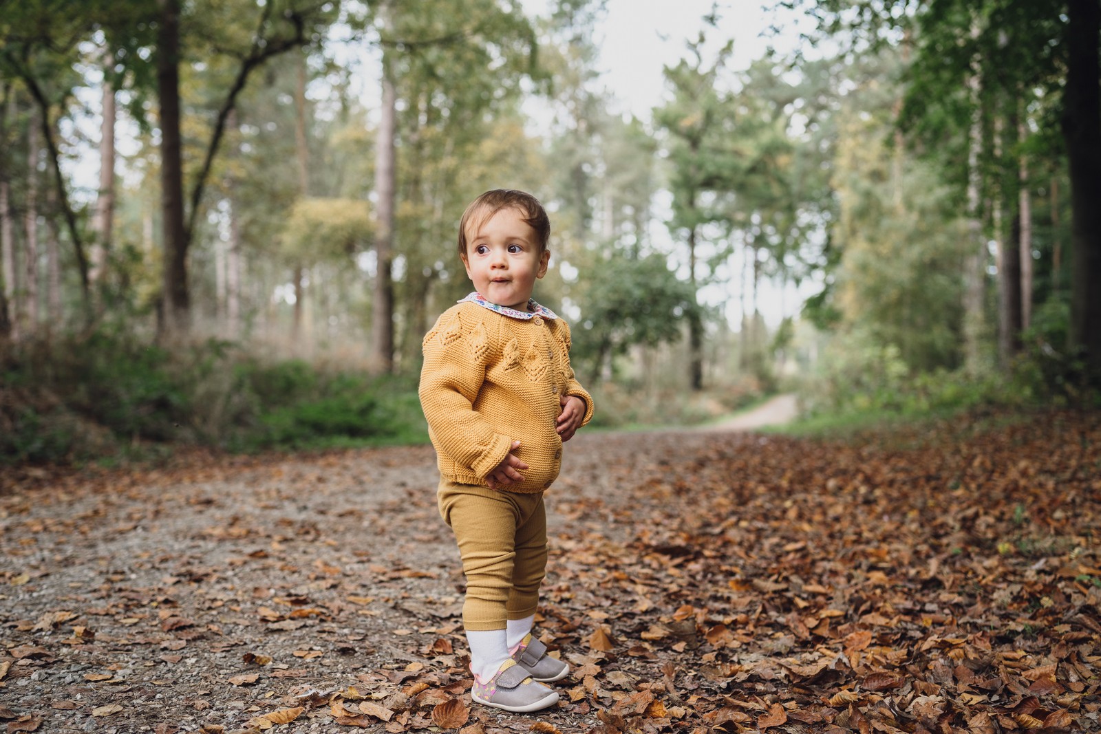 delamere forest autumn shoot