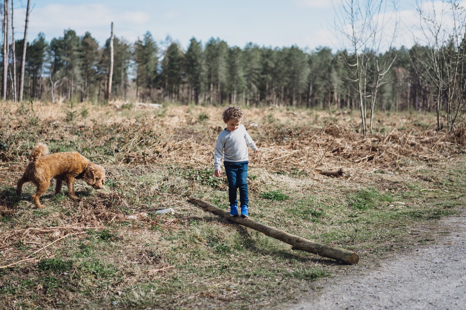 Forest shoot // Oliver and his dog Hugo