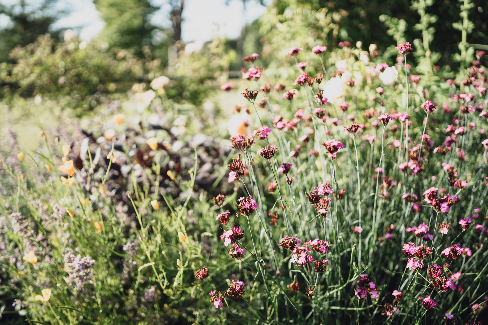 Abbeywood Cheshire // Michael & Clare