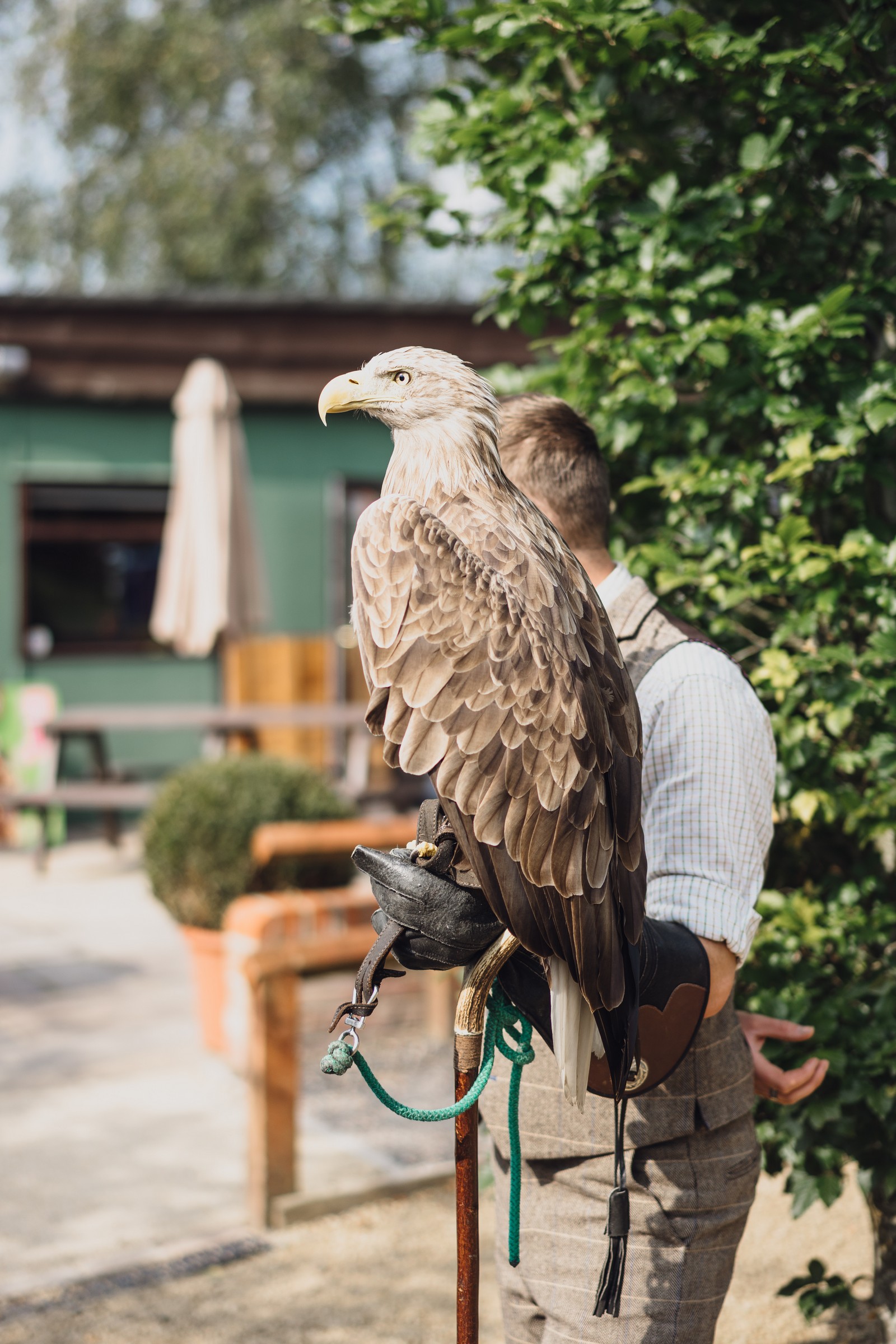 Cheshire Woodland Wedding // Annabelle & Matt