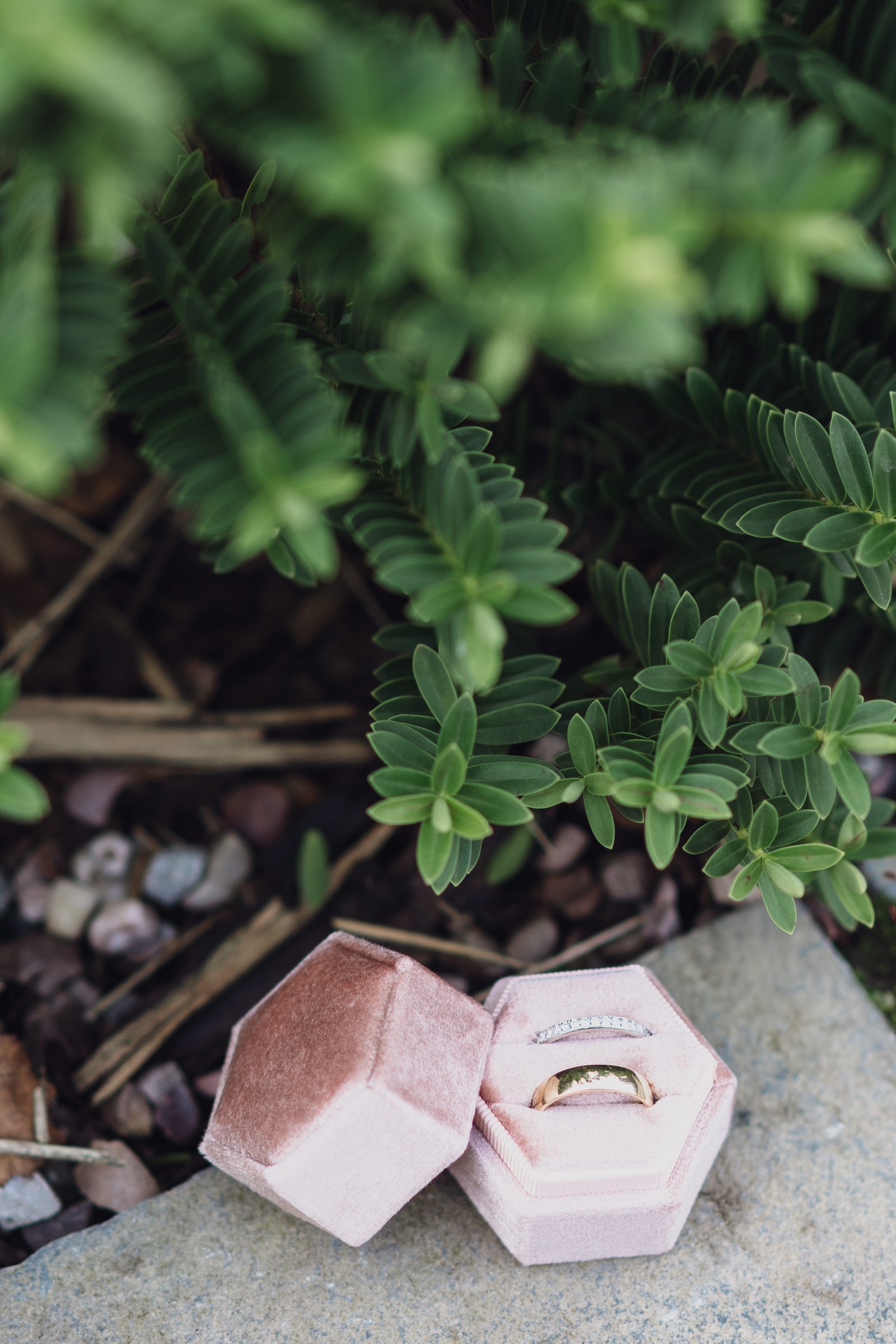 Cheshire Woodland Wedding // Annabelle & Matt