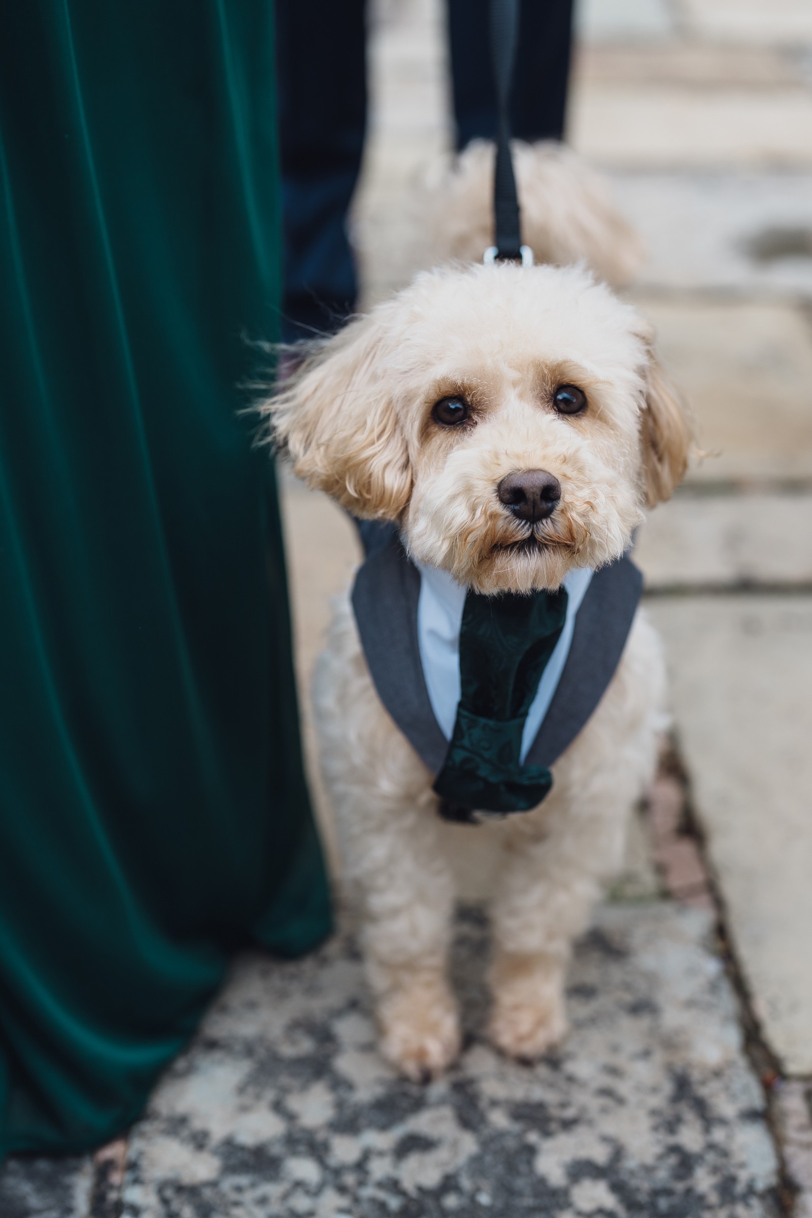 Delamere Manor Jewish Wedding // Harri & Sam